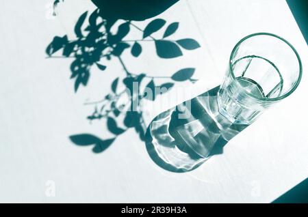 Sharp shadows on a white background. Shadows from an empty glass and leaves Stock Photo