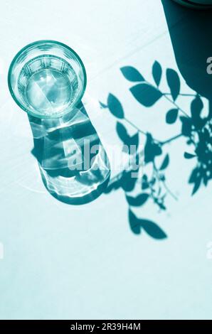 Shadows from an empty glass and leaves. Sharp shadows on a white background. Stock Photo