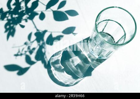 Shadows from an empty glass and leaves. Sharp shadows on a white background. Stock Photo