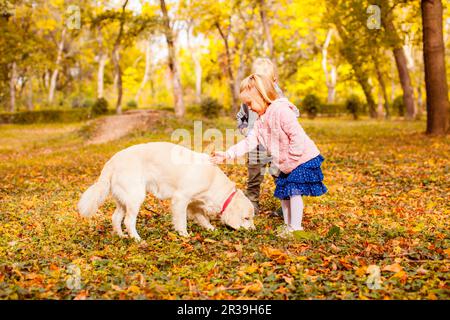 Happy kids with gold retriever dog on walk in autumn Stock Photo