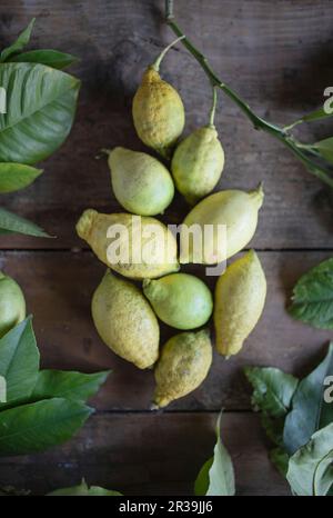 Organic lemons on a rustic wooden table Stock Photo