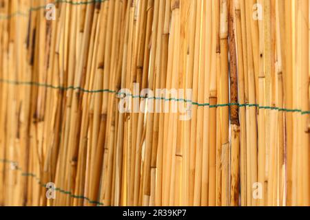 Balcony Privacy Screen made of bamboo Stock Photo