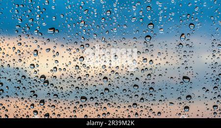 Raindrops on window glass Stock Photo