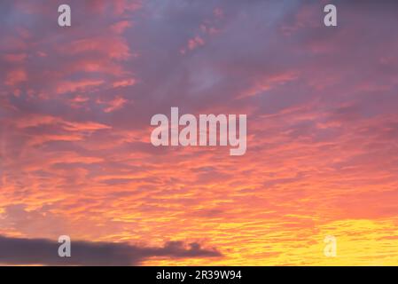 Beautiful orange sky with clouds at sunset, sky remplacement, nature background Stock Photo
