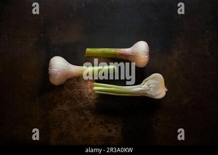 Three fresh garlic bulbs on a metal background Stock Photo