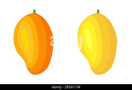 Organic mango isolated on white background. Healthy lifestyle. Vector illustration in flat style. Stock Vector