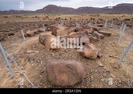 petroglyph, Aït Ouazik rock deposit, late Neolithic, Morocco, Africa. Stock Photo