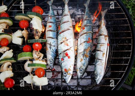 Fresh Mackerel and Vegetable kebabs on BBQ Stock Photo