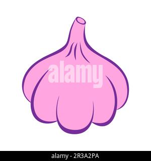 Garlic. Organic vegetable  isolated on white background. Healthy lifestyle. Vector illustration in flat style. Stock Vector