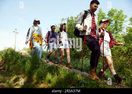 Cheerful young people, friends, men and women in stylish comfortable clothes, going hiking, walking in forest on warm summer day Stock Photo