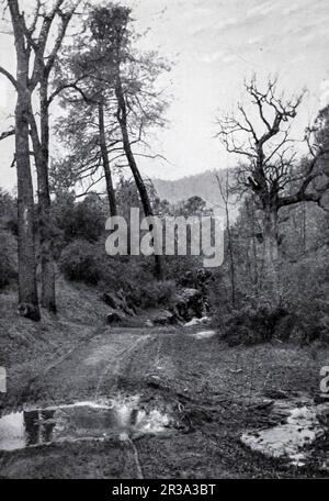 The Road to the Mountains black and white historic photograph by Clifton Johnson, from the book Highways and byways of the Pacific coast This volume includes chapters on characteristic, picturesque, and historically attractive regions in the states of California, Oregon, Washington, Idaho, Nevada, and Arizona, and a chapter on the Yosemite National Park. Publication date 1913 Publisher  New York, The Macmillan company; Stock Photo