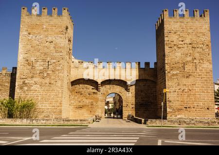 puerta de Mallorca - puerta de Sant Sebastia-, muralla medieval, siglo XIV, Alcudia,Mallorca, islas baleares, Spain. Stock Photo