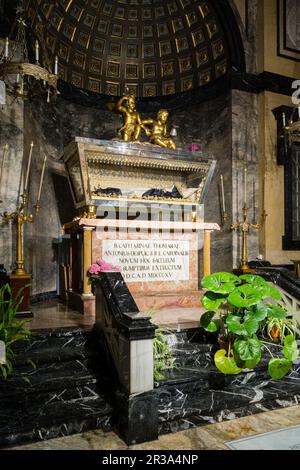 panteon de Santa Catalina Thomas (Valldemossa, 1533 , Palma, 1574), iglesia de Santa Magdalena,fundada en el siglo XIV y reconstruida en 1740, Palma, Mallorca, islas baleares, Spain. Stock Photo