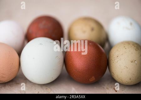 Various coloured eggs Stock Photo