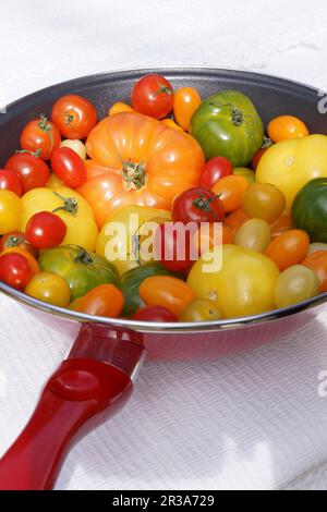 Various fresh tomatoes in a pan Stock Photo