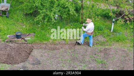 An adult man digs up his plot of land in the country for sowing potatoes Stock Photo