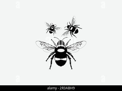 Vector engraving illustration of honey bee on white background Stock Vector