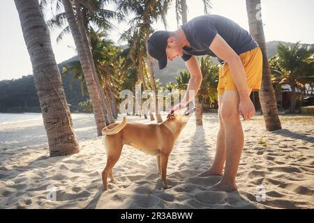 Smiling man in shorts stroking cute dog under palm trees on idyllic sandy beach. Stock Photo