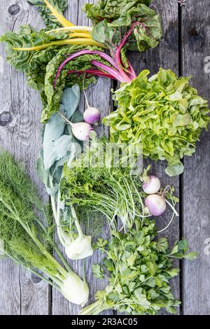 Various garden vegetables, lettuce and herbs on a wooden surface Stock Photo