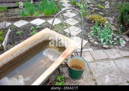 Old cast iron tub with water, a bucket and a faucet for watering plants in the garden. Garden, rural, cottage. Stock Photo