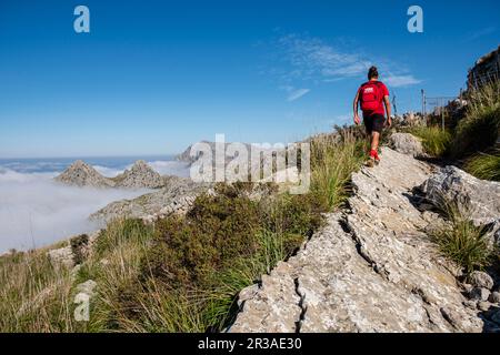 hiker on the way to Es Binis, Mallorca, Balearic Islands, Spain. Stock Photo