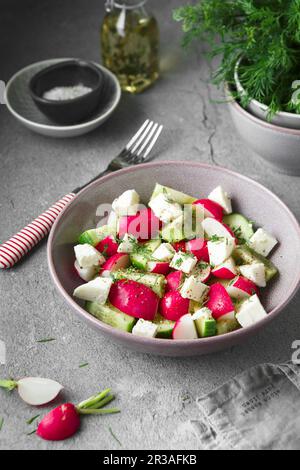 Radish, cucumber, kiwi, cheese and dill salad in a bowl on gray grunge concrete background. Seasonal Stock Photo