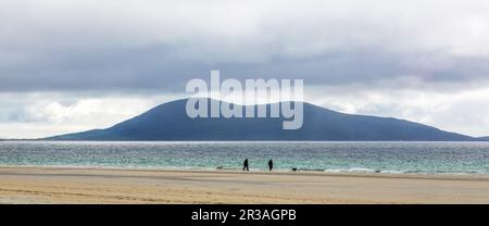 Two Walkers and two Dogs walking on the Shores of Luskentyre Beach, Harris, Isle of Harris, Outer Hebrides, Western Isles, Scotland, United Kingdom Stock Photo
