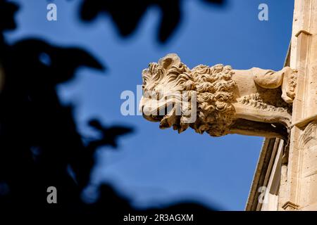 gargola en forma de leon, Lonja de Palma de Mallorca , Sa Llotja, antigua sede del Colegio de Mercaderes, Monumento histórico-artístico, construida por Guillem Sagrera entre 1420 y 1452, Palma, Mallorca, balearic islands, Spain. Stock Photo