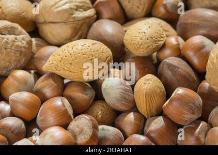 Assorted mix of different nuts in shells Stock Photo