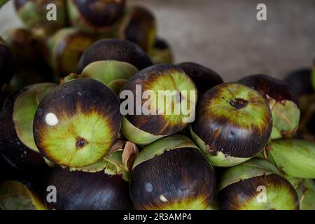 Bunch of ripe Palmyra  palm or toddy palm Stock Photo