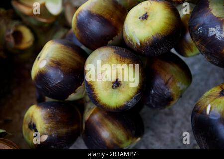 Bunch of ripe Palmyra  palm or toddy palm Stock Photo