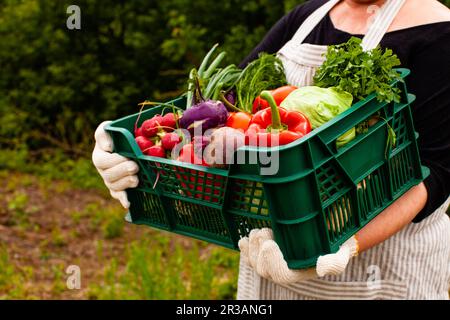 Harvesting a wonderful crop on a country farm Stock Photo