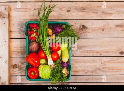 Ecological set of raw vegetables stacked in a basket Stock Photo