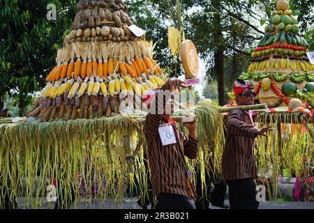 Kirab tumpeng hasil bumi (farmer thanksgiving) to celebrate Indonesian independence day at simpang lima gumul Kediri Stock Photo