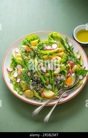 Spring salad with eggs, asparagus, new potatoes, radish, microgreens and little gem lettuce Stock Photo