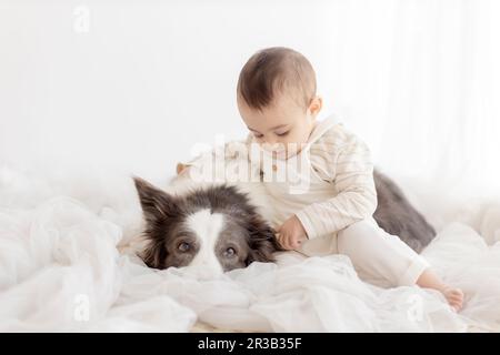 Cute boy sitting with Border Collie in front of white wall Stock Photo