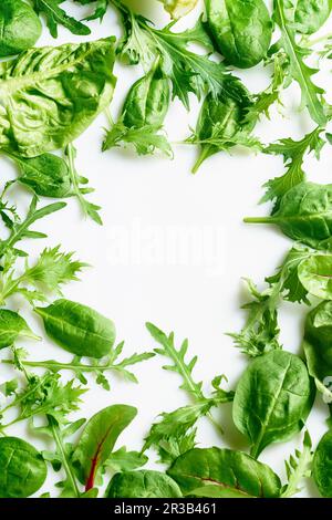 Romaine, arugula, spinach and mizuna leaves flatlay Stock Photo