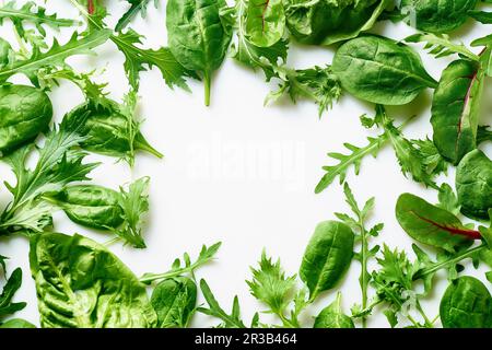 Romaine, arugula, spinach and mizuna leaves flatlay Stock Photo