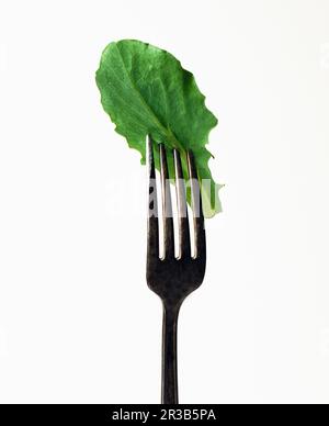 Lettuce leaf on a fork Stock Photo