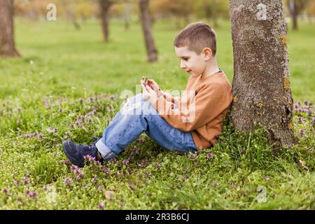 Boy using smart phone sitting by tree at park Stock Photo