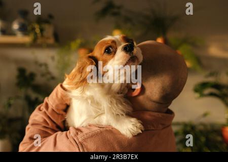 Man carrying spaniel dog on shoulders at home Stock Photo