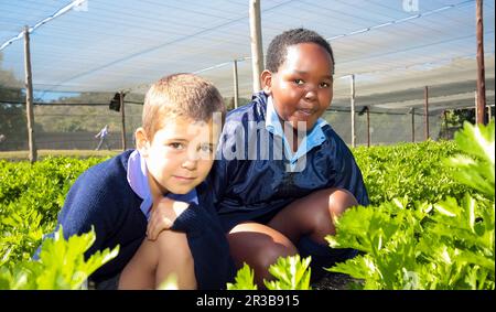 School children learning about agriculture and farming Stock Photo