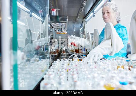 Scientist working in microbiological safety cabinet laboratory Stock Photo