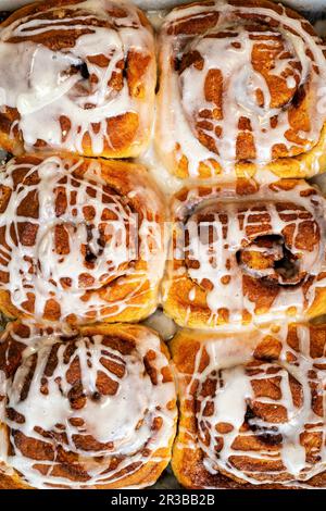 Sourdough cinnamon rolls glazed with icing on a tray Stock Photo
