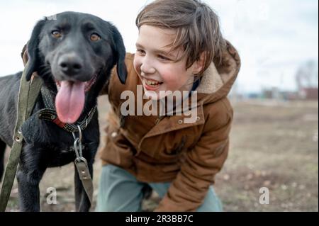 Happy boy kneeling near Labrador Stock Photo