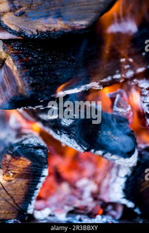 Barbecue fire Stock Photo