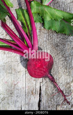 Fresh beetroot with leaves on a wooden board. Healthy food. Beetroots. Organic beet, beetroot on gre Stock Photo