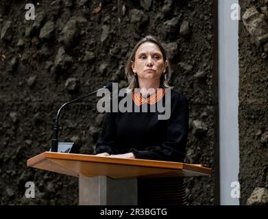 THE HAGUE - Laura Bromet (GroenLinks) during the weekly question hour in the House of Representatives. ANP REMKO DE WAAL netherlands out - belgium out Stock Photo