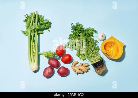 Vegetables, herbs, spices on a blue background Stock Photo