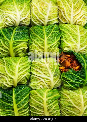 Vegan stuffed cabbage Stock Photo